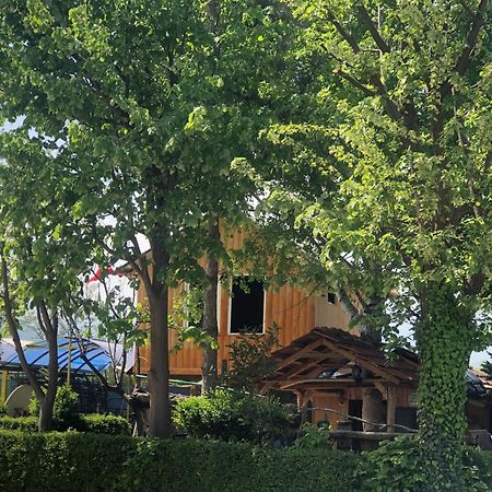 Bujtina Gashi Guest House Kukes Esterno foto