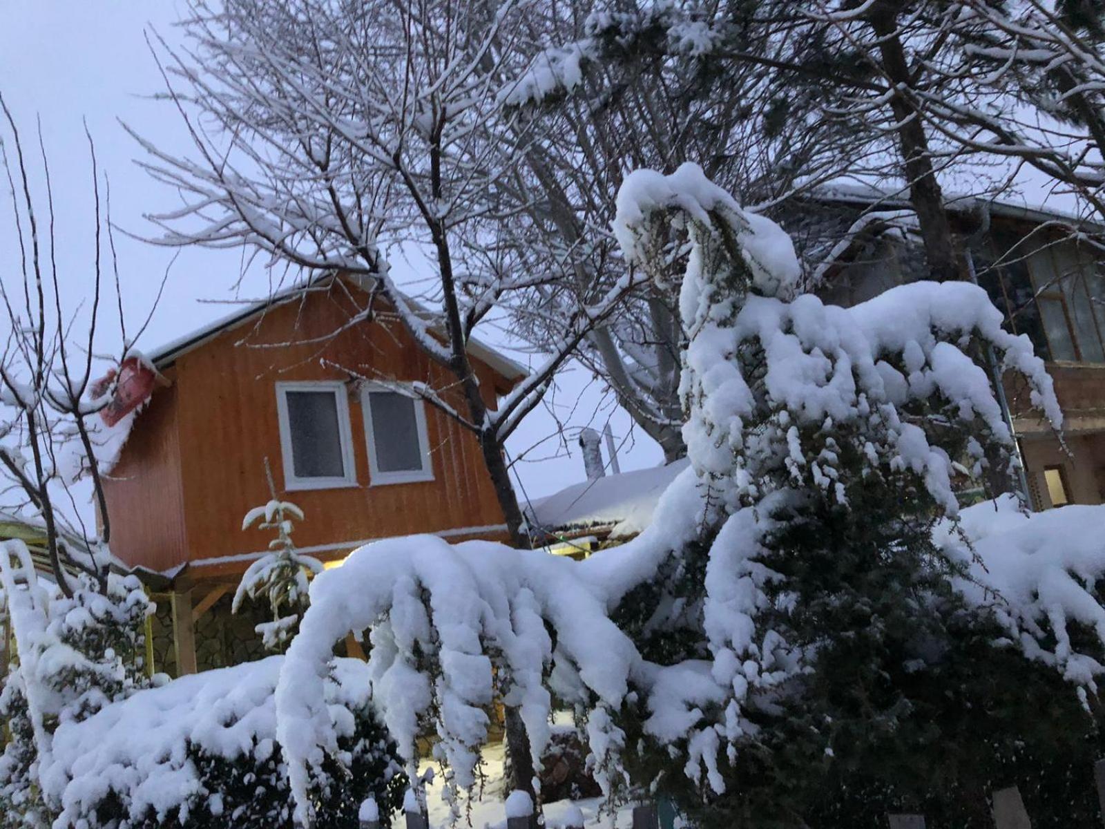 Bujtina Gashi Guest House Kukes Esterno foto